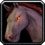 Black War Steed