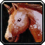 Swift Palomino