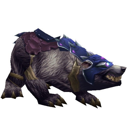 Black War Bear - Alliance Black War Bear - Alliance