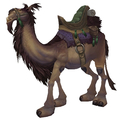 Brown Riding Camel