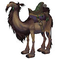 Brown Riding Camel