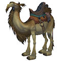 camelmount_tan.jpg
