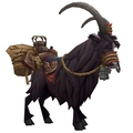 More about Black Riding Goat