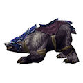 Black War Bear - Alliance