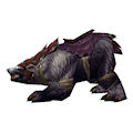 Black War Bear - Horde
