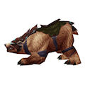 Armored Brown Bear - Horde