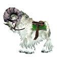 More about White Ram