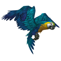 Greatwing Macaw