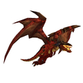 Proto-Drake Whelp