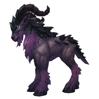 Dark Purple Argus Talbuk