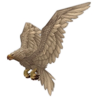 Snowy Highmountain Eagle
