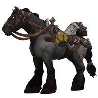 Gilneas Loyalist's Rouncey