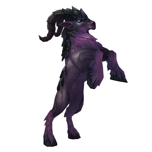 Dark Purple Argus Talbuk