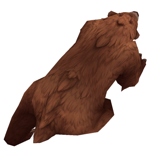 Brown Bear