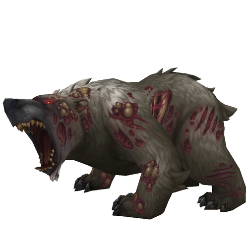 Diseased Grey Bear