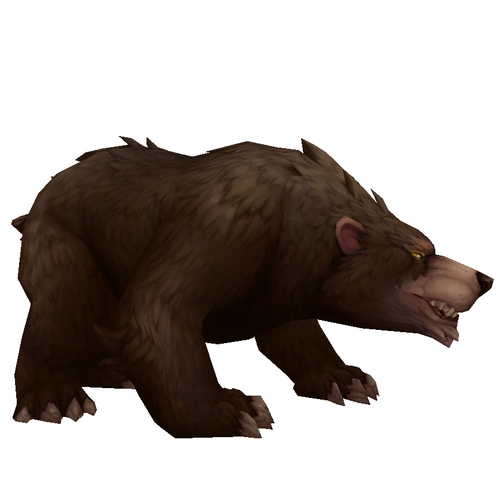 Dark Brown Bear