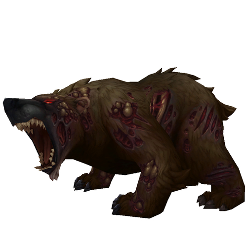 Diseased Dark Brown Bear