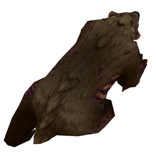 Diseased Dark Brown Bear