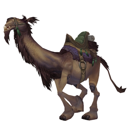 Brown Riding Camel