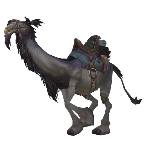 Grey Riding Camel