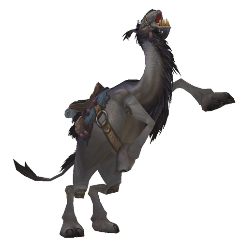 Grey Riding Camel