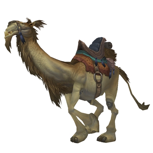 Tan Riding Camel