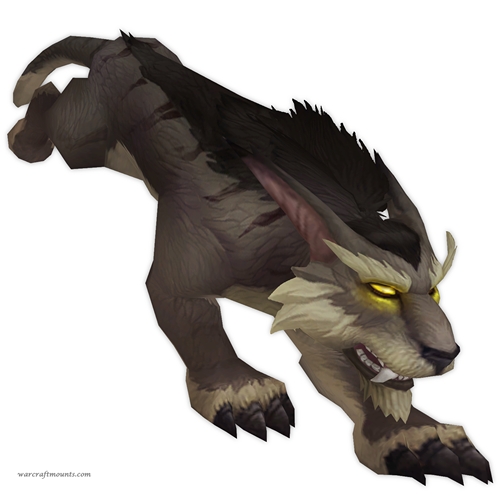 Unsaddled Brown Eversong Lynx