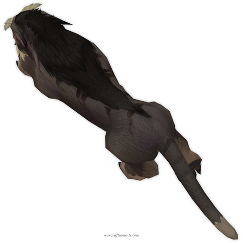 Unsaddled Brown Eversong Lynx