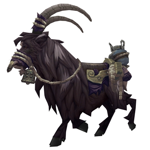Spotted Black Riding Goat