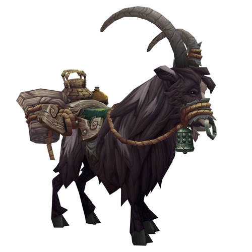 Spotted Black Riding Goat