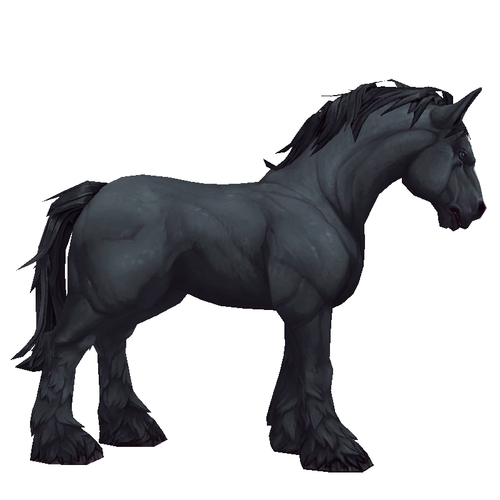 Unsaddled Black Horse