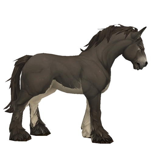 Unsaddled Dark Brown Horse w/ White Belly