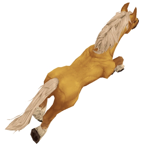 Unsaddled Palomino Horse