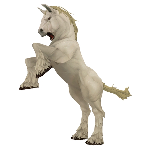 Unsaddled White Horse