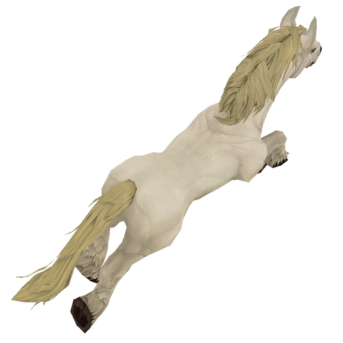 Unsaddled White Horse