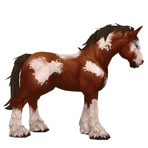 Unsaddled Brown & White Horse w/ Stockings