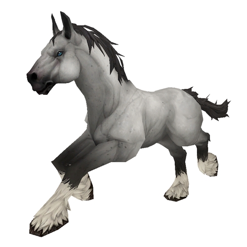 Unsaddled Grey Horse