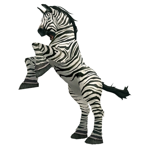 Unsaddled Striped Horse