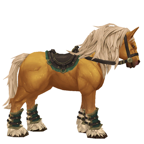 Palomino Admiralty Stallion