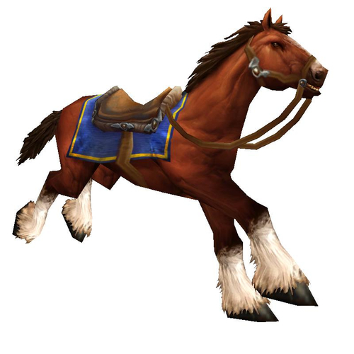 Chestnut Mare