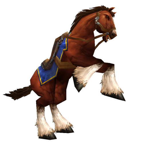 Chestnut Mare