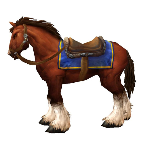 Chestnut Mare