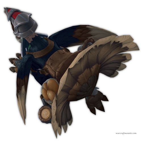 Quirky Turkey