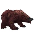 Diseased Brown Bear