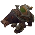 Veteran Adventurer's Loyal Companion