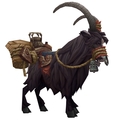 Black Riding Goat