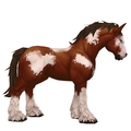 Unsaddled Brown & White Horse w/ Stockings