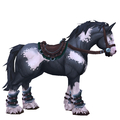 Piebald Waycrest Charger