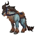 Blue Barry