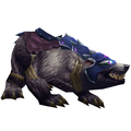 Black War Bear [Alliance]